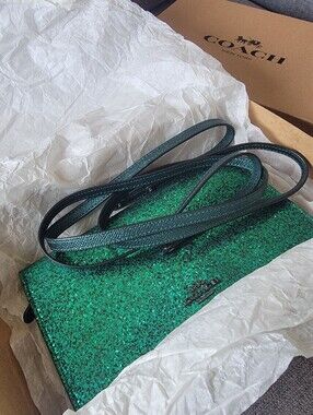 Coach Hayden Emerald Green Glitter Crossbody Clutch - Wizard of Oz - With Box